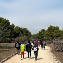 Foto pikolinos 5